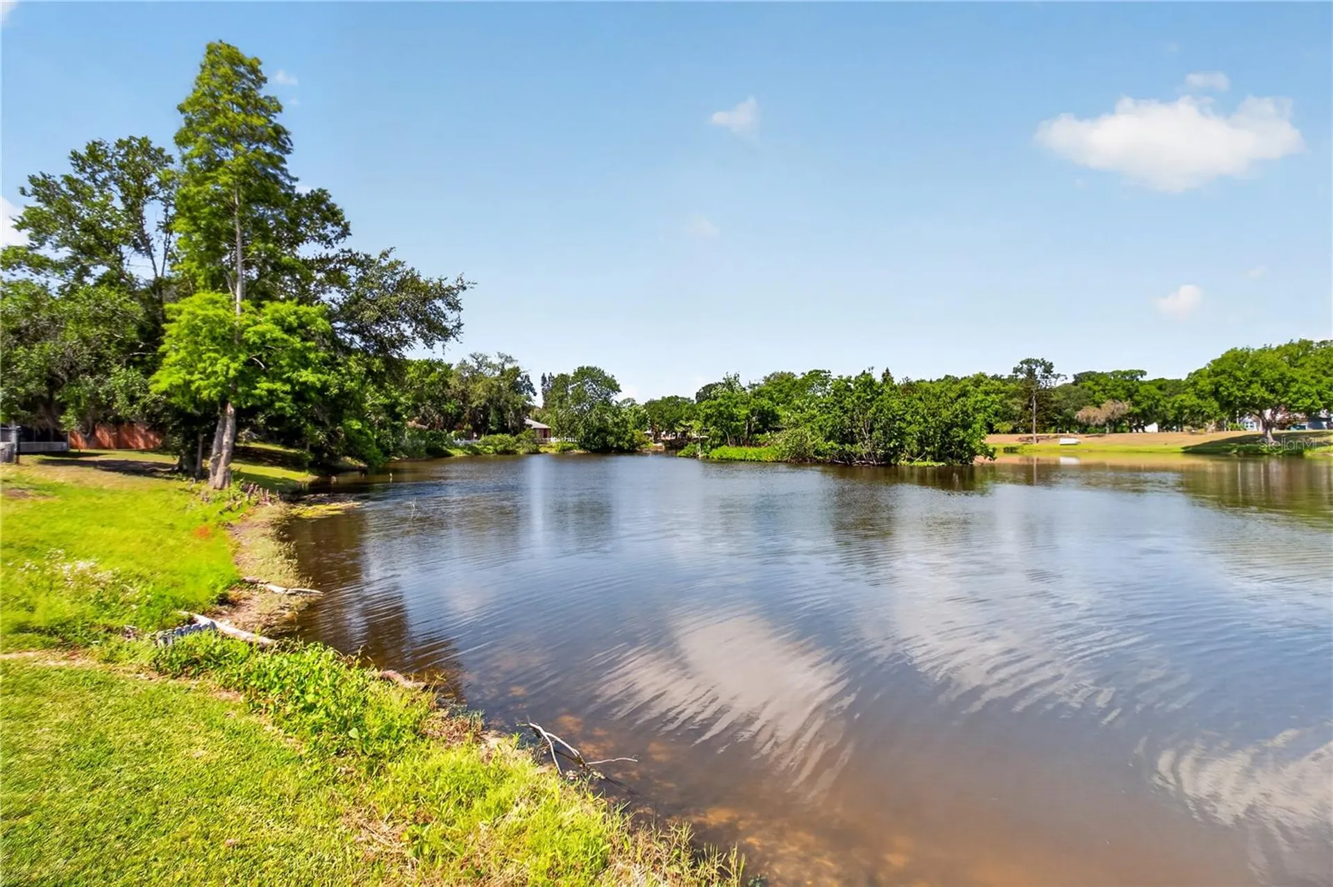 23311 Dover Drive Land O Lakes FL 34639