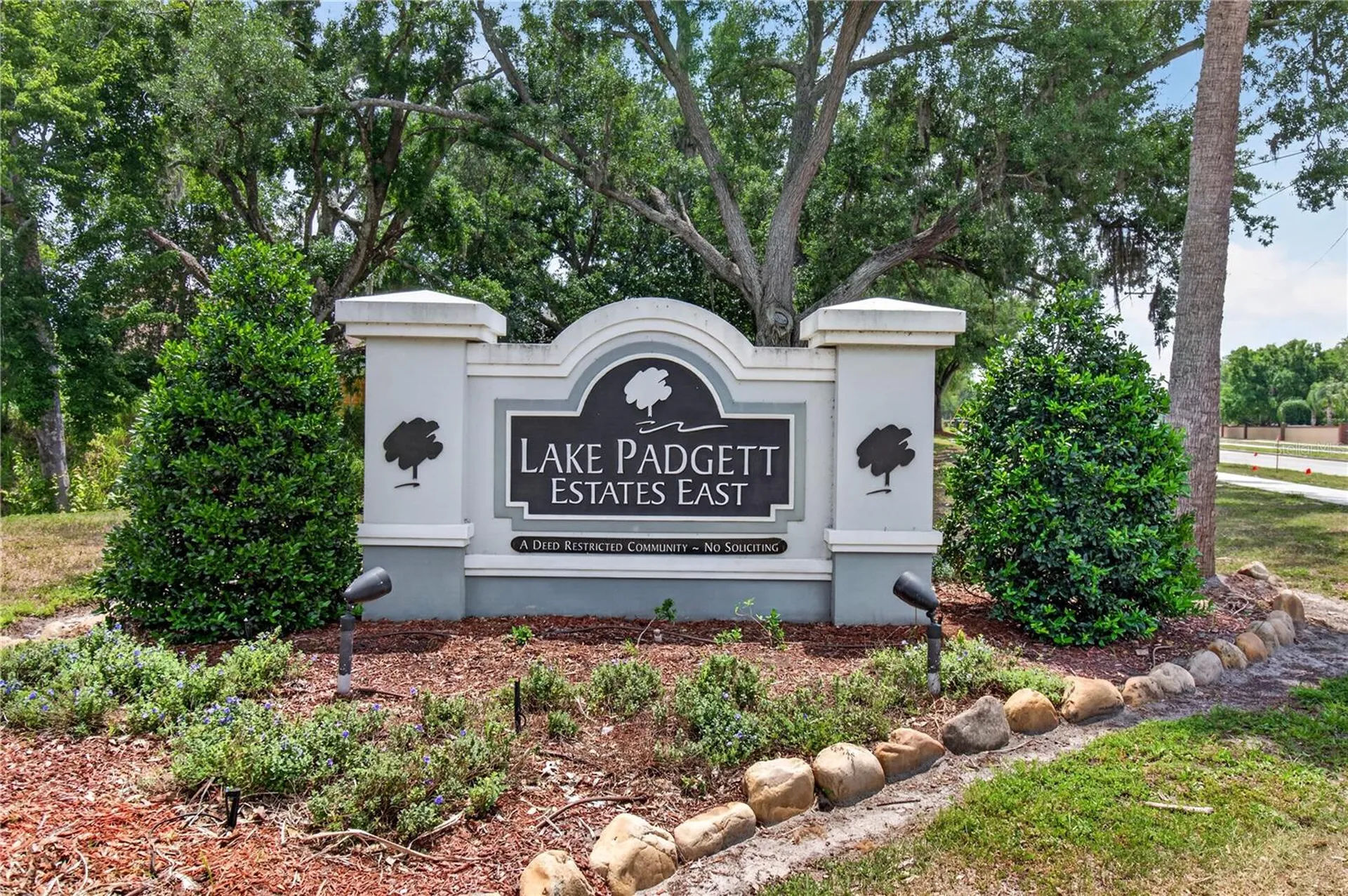 23311 Dover Drive Land O Lakes FL 34639