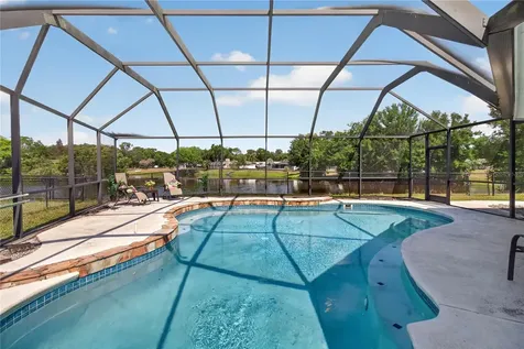 23311 Dover Drive Land O Lakes FL 34639