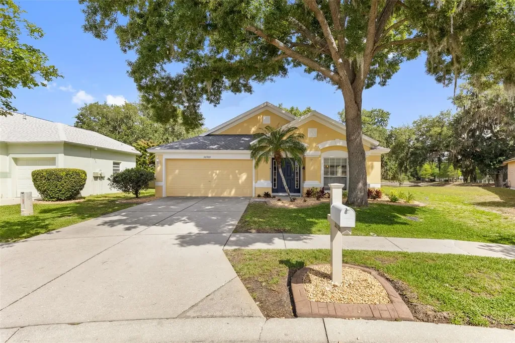 30709 Lanesborough Circle Wesley Chapel FL 33543