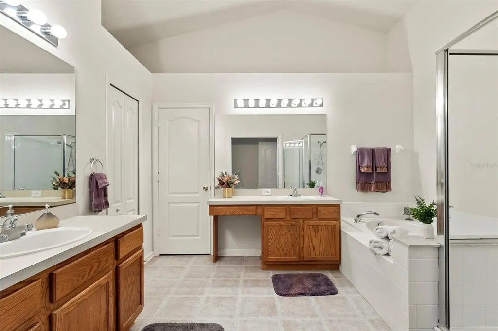 30709 Lanesborough Circle Wesley Chapel FL 33543