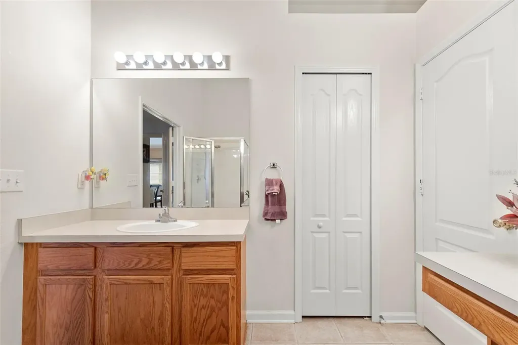 30709 Lanesborough Circle Wesley Chapel FL 33543