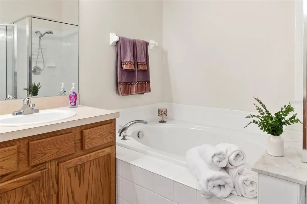 30709 Lanesborough Circle Wesley Chapel FL 33543