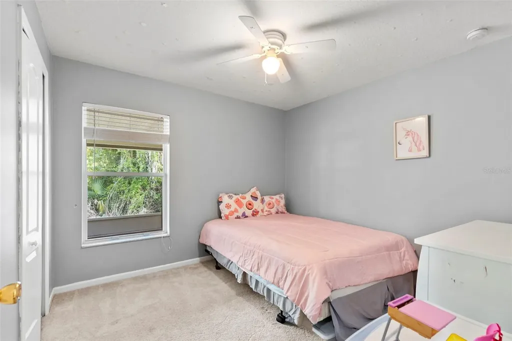 30709 Lanesborough Circle Wesley Chapel FL 33543