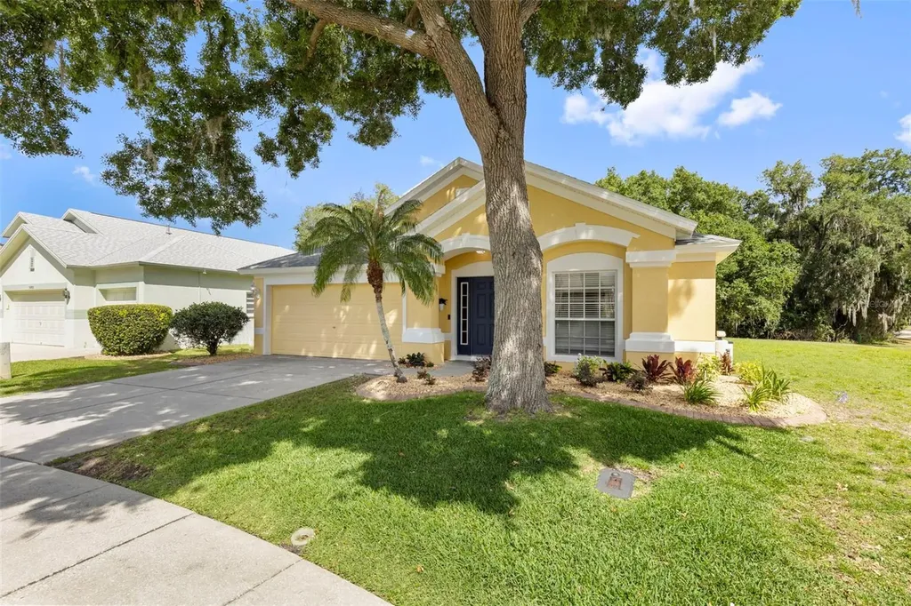 30709 Lanesborough Circle Wesley Chapel FL 33543