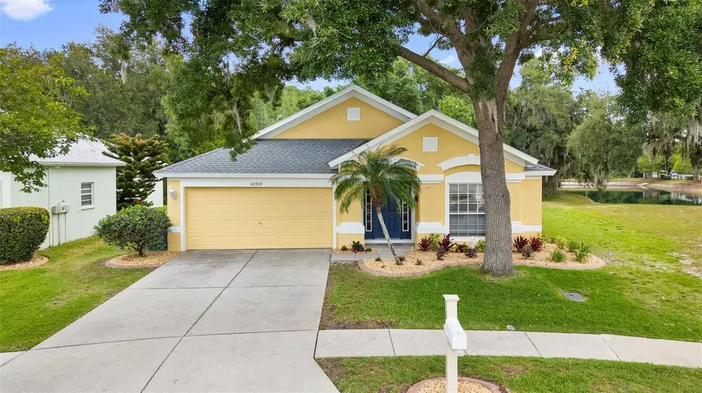 30709 Lanesborough Circle Wesley Chapel FL 33543