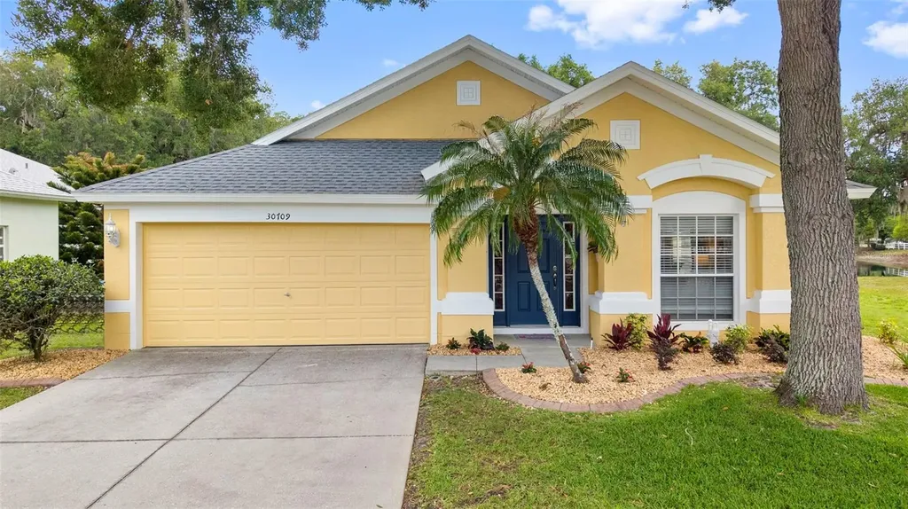 30709 Lanesborough Circle Wesley Chapel FL 33543