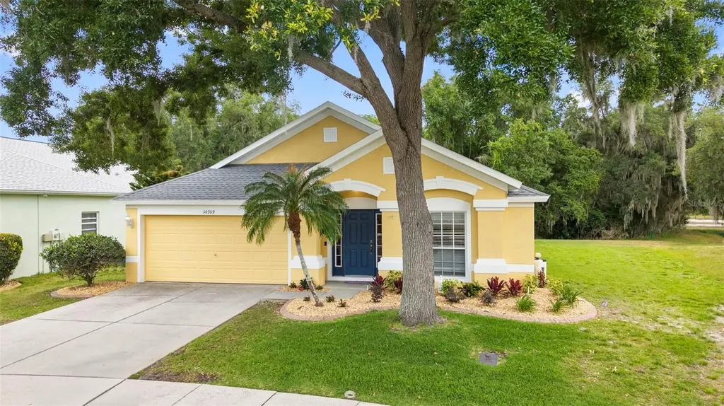 30709 Lanesborough Circle Wesley Chapel FL 33543