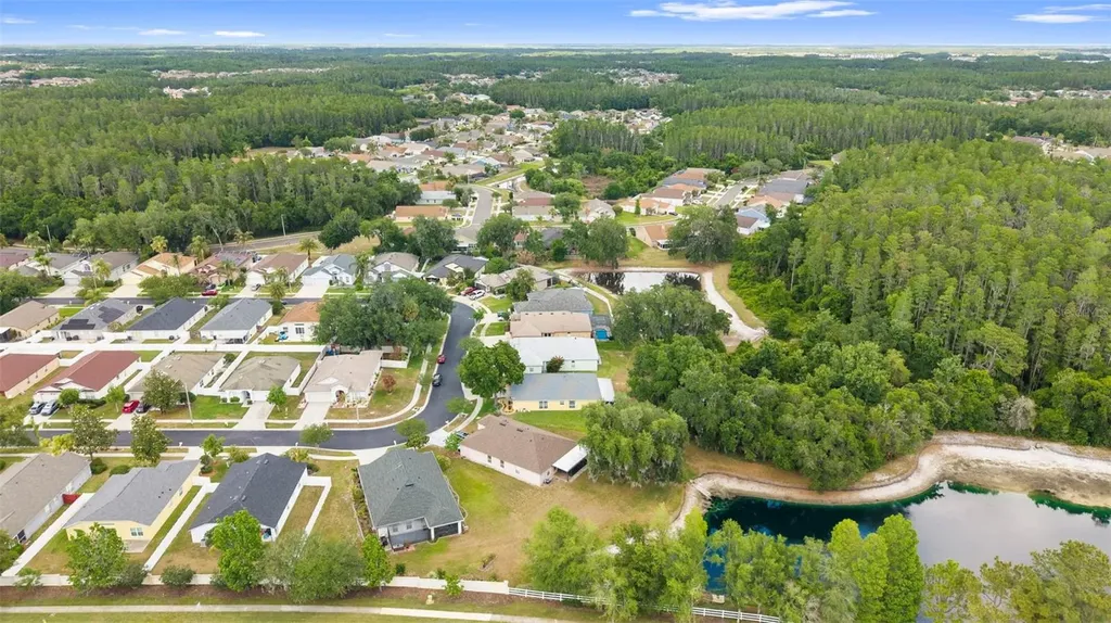 30709 Lanesborough Circle Wesley Chapel FL 33543