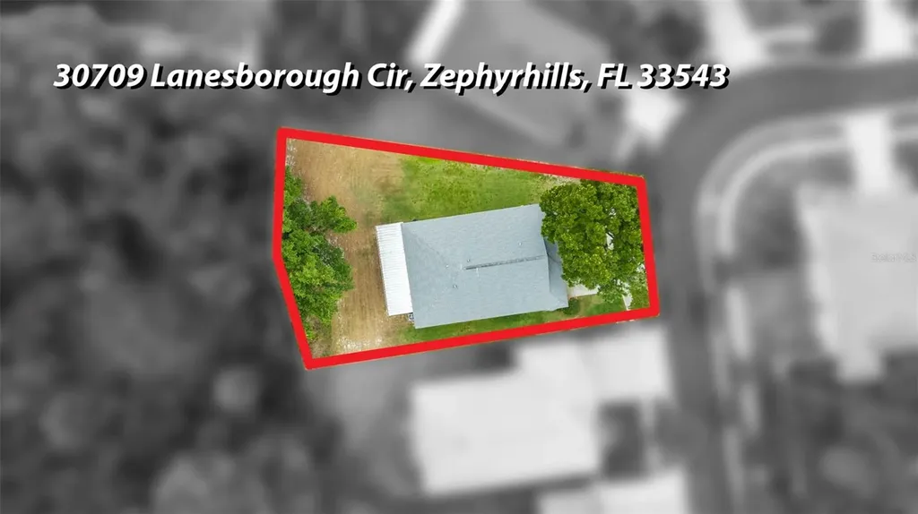 30709 Lanesborough Circle Wesley Chapel FL 33543