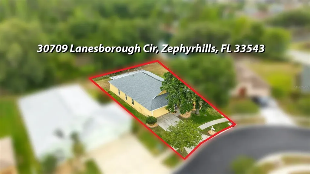 30709 Lanesborough Circle Wesley Chapel FL 33543