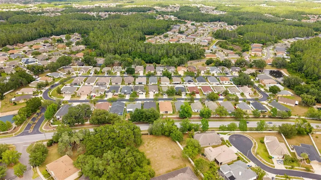 30709 Lanesborough Circle Wesley Chapel FL 33543