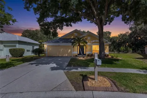 30709 Lanesborough Circle Wesley Chapel FL 33543