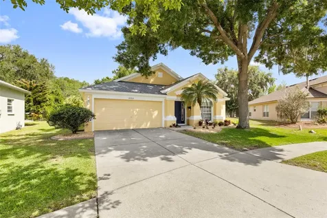 30709 Lanesborough Circle Wesley Chapel FL 33543