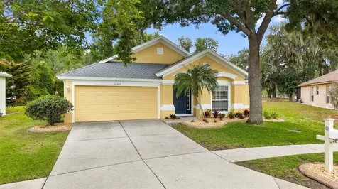 30709 Lanesborough Circle Wesley Chapel FL 33543