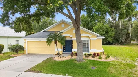 30709 Lanesborough Circle Wesley Chapel FL 33543