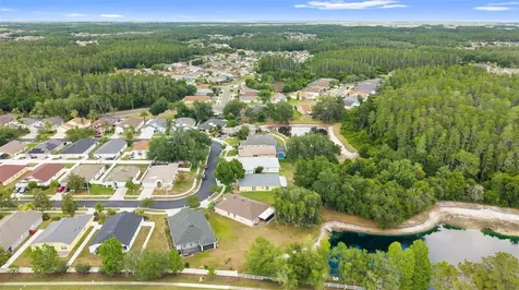 30709 Lanesborough Circle Wesley Chapel FL 33543