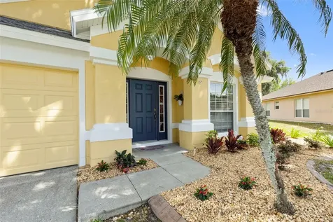 30709 Lanesborough Circle Wesley Chapel FL 33543