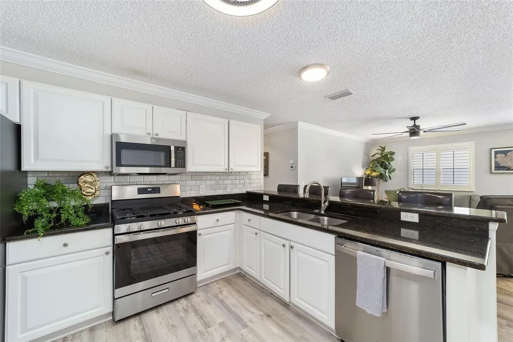 3309 Riverton Road The Villages FL 32162
