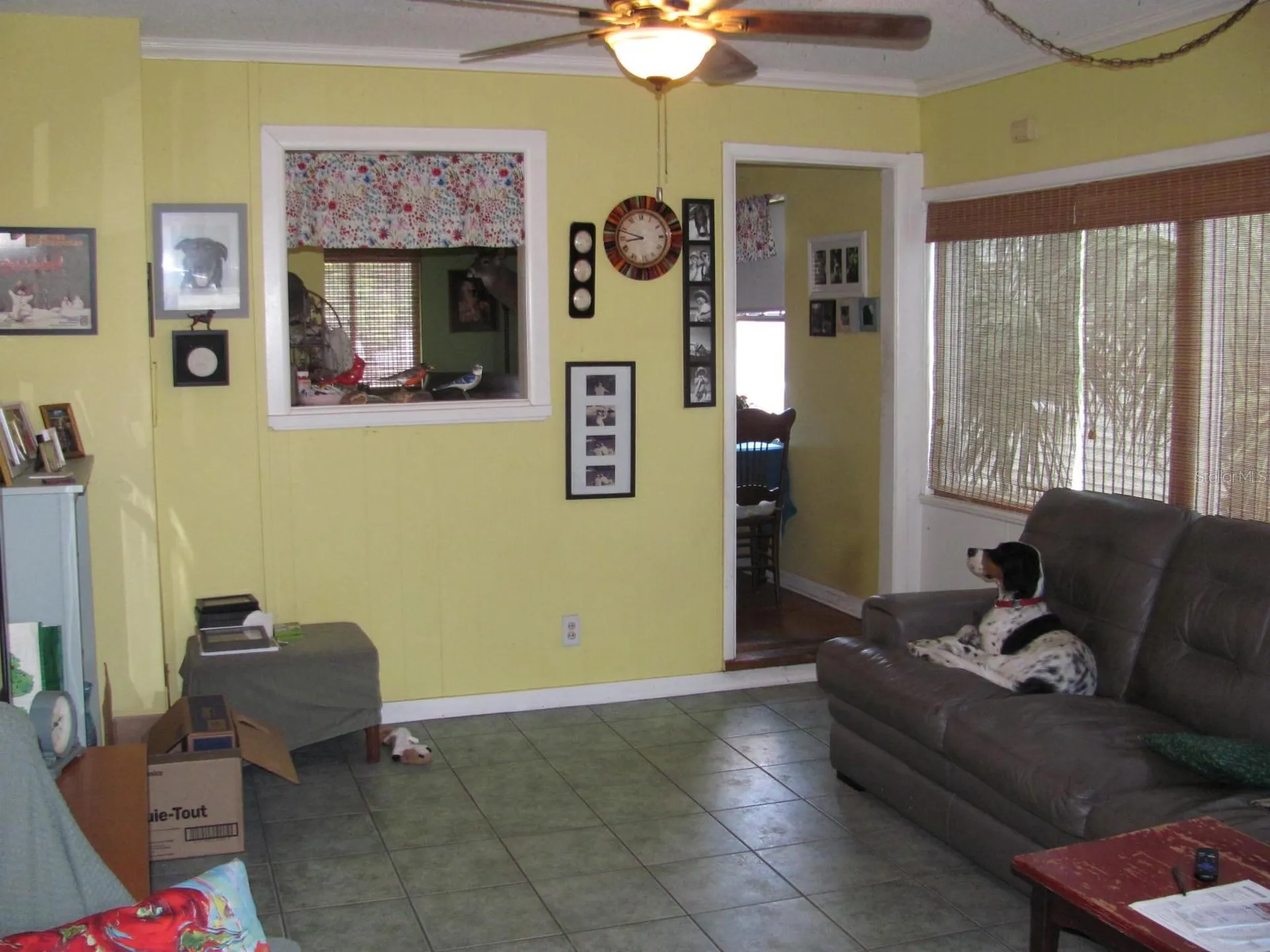 4716 17th Avenue N St Petersburg FL 33713