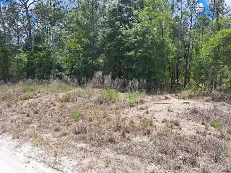 SW 89 Street Dunnellon FL 34432