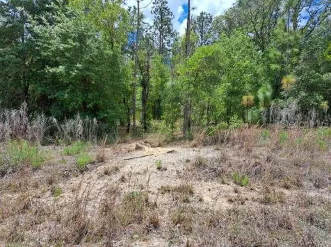 SW 89 Street Dunnellon FL 34432