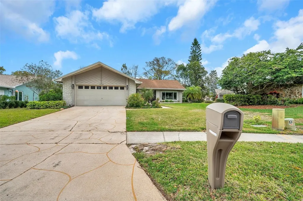 1658 Macdonnell Court Palm Harbor FL 34684