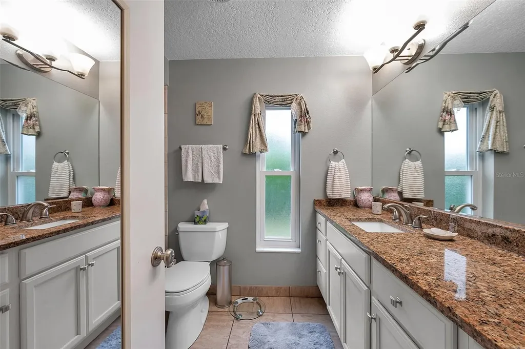 1658 Macdonnell Court Palm Harbor FL 34684