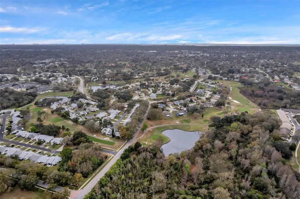 1658 Macdonnell Court Palm Harbor FL 34684