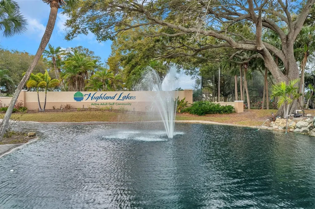 1658 Macdonnell Court Palm Harbor FL 34684
