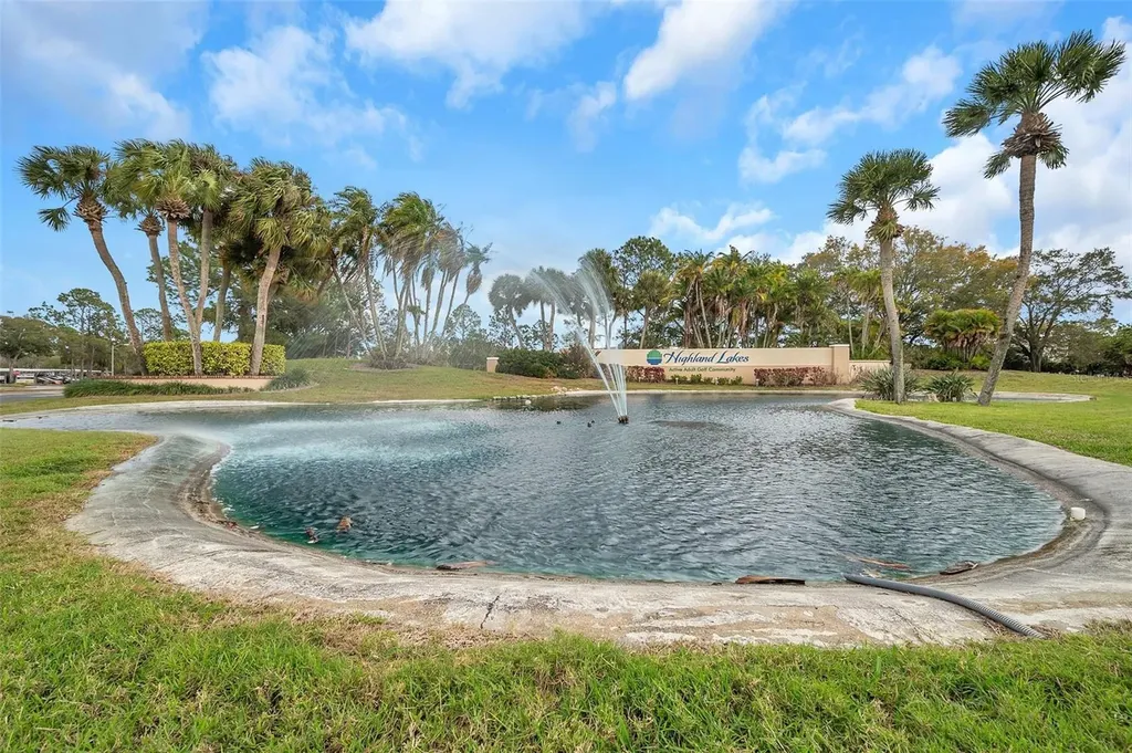1658 Macdonnell Court Palm Harbor FL 34684