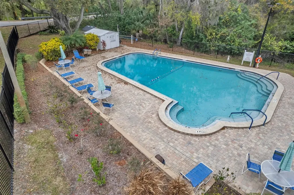 1658 Macdonnell Court Palm Harbor FL 34684