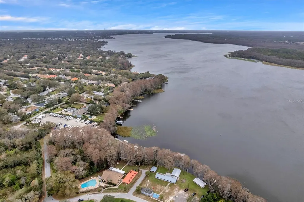 1658 Macdonnell Court Palm Harbor FL 34684