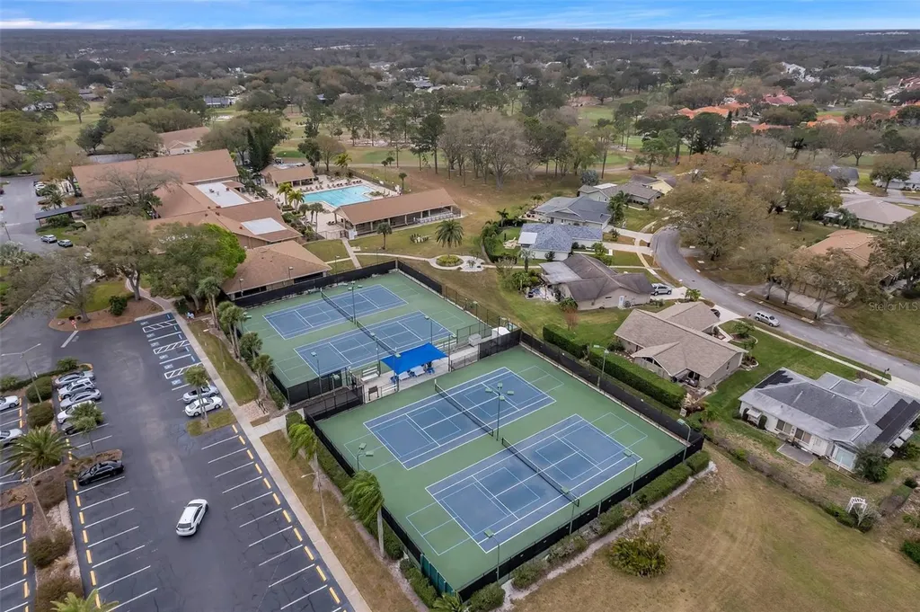 1658 Macdonnell Court Palm Harbor FL 34684