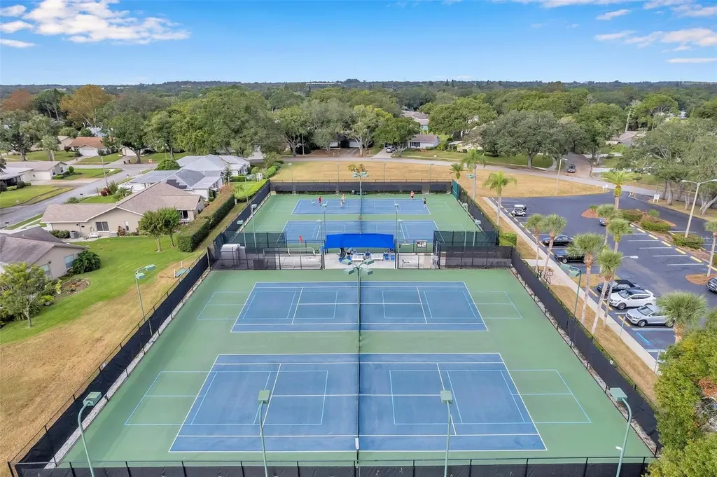 1658 Macdonnell Court Palm Harbor FL 34684