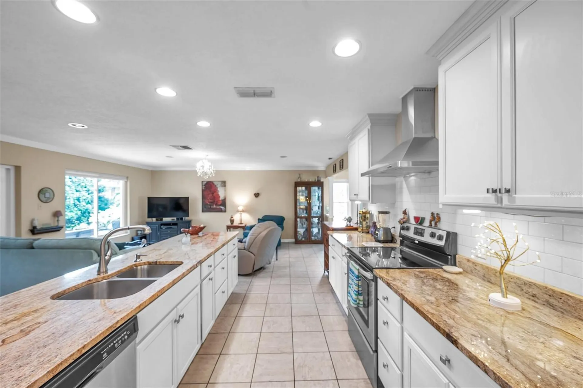 1658 Macdonnell Court Palm Harbor FL 34684