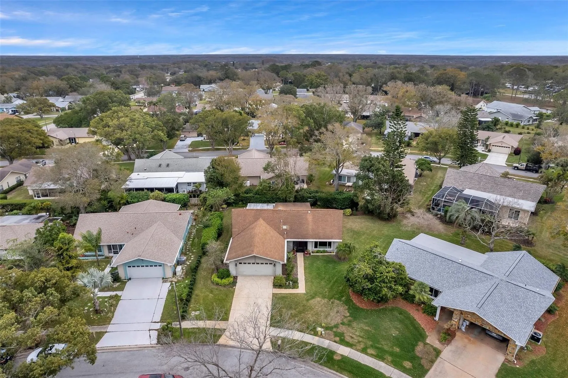 1658 Macdonnell Court Palm Harbor FL 34684