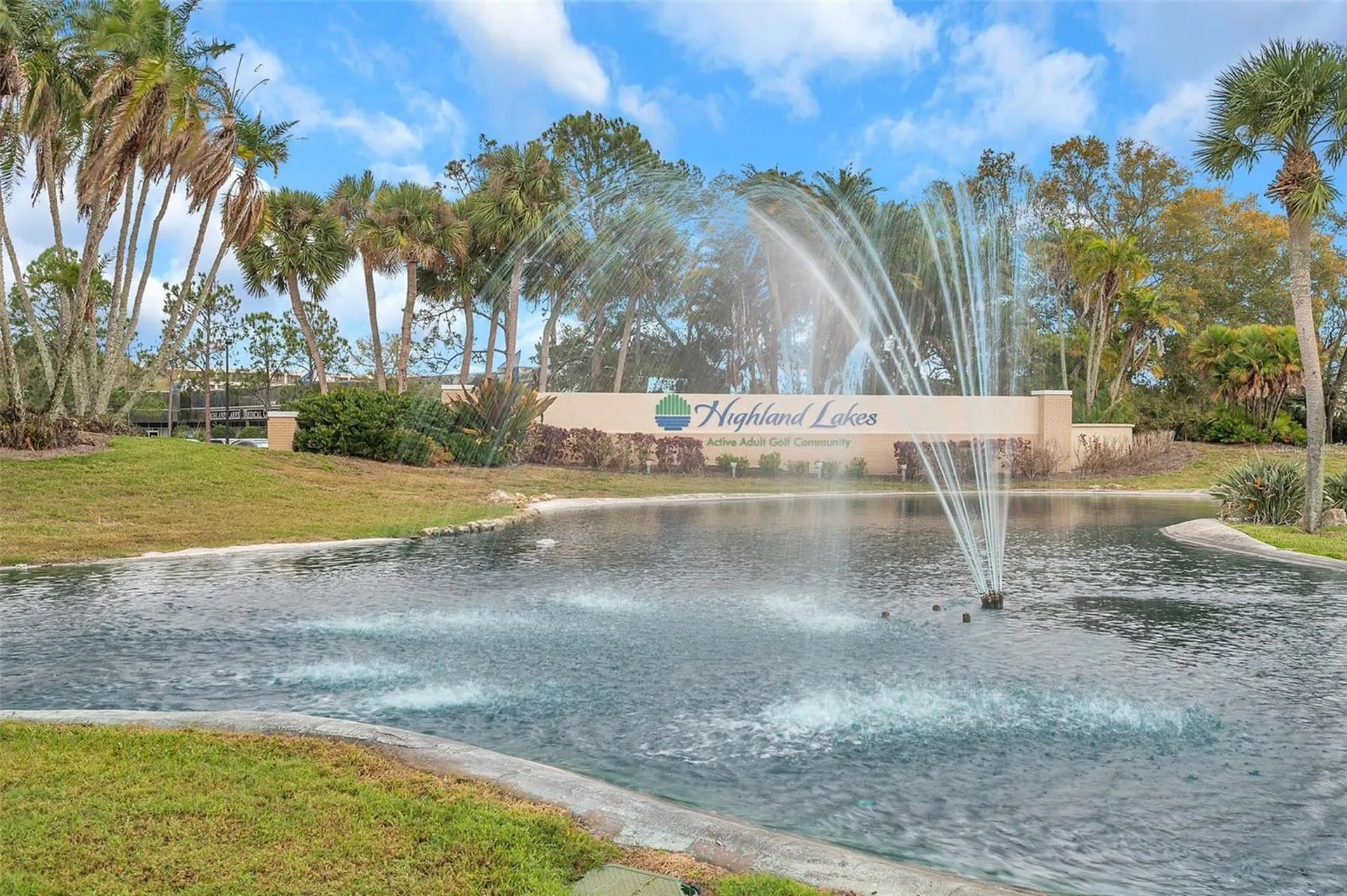 1658 Macdonnell Court Palm Harbor FL 34684