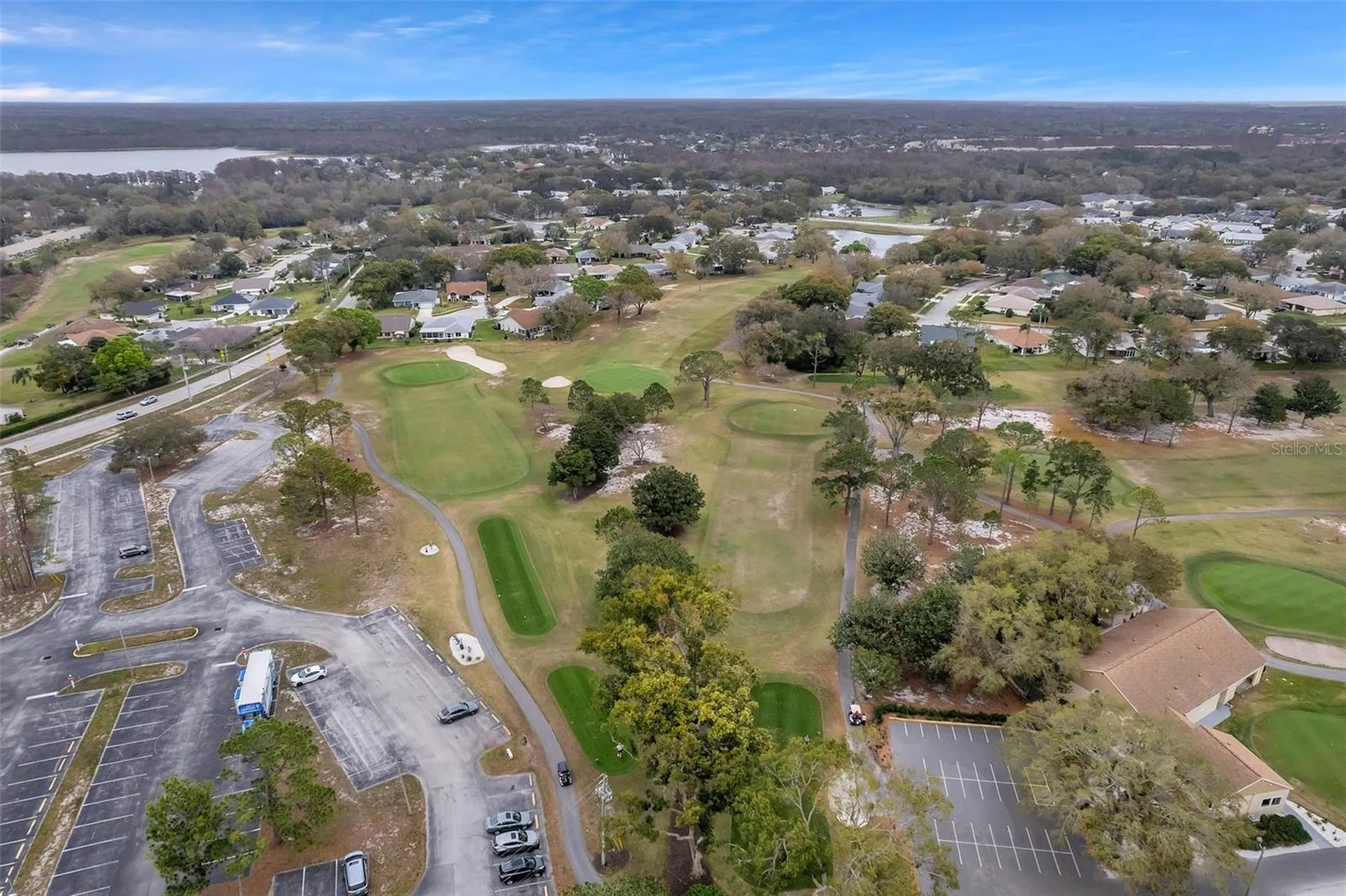 1658 Macdonnell Court Palm Harbor FL 34684