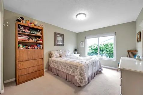 1658 Macdonnell Court Palm Harbor FL 34684