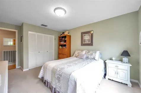 1658 Macdonnell Court Palm Harbor FL 34684