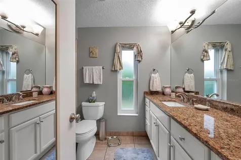 1658 Macdonnell Court Palm Harbor FL 34684