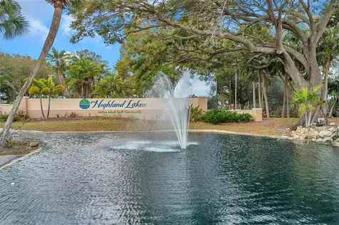 1658 Macdonnell Court Palm Harbor FL 34684