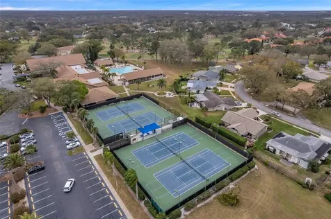 1658 Macdonnell Court Palm Harbor FL 34684