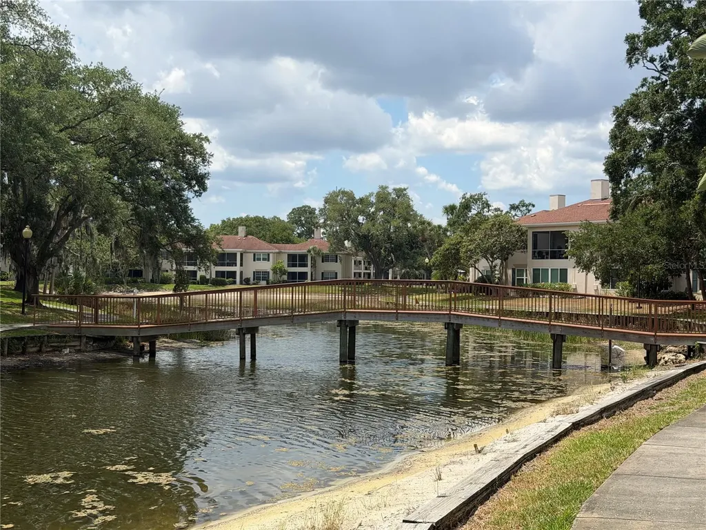 10335 Carrollwood Lane Tampa FL 33618