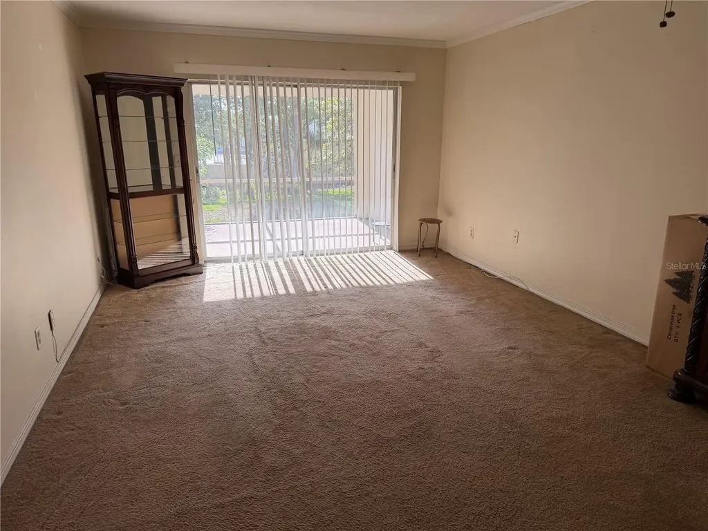 10335 Carrollwood Lane Tampa FL 33618