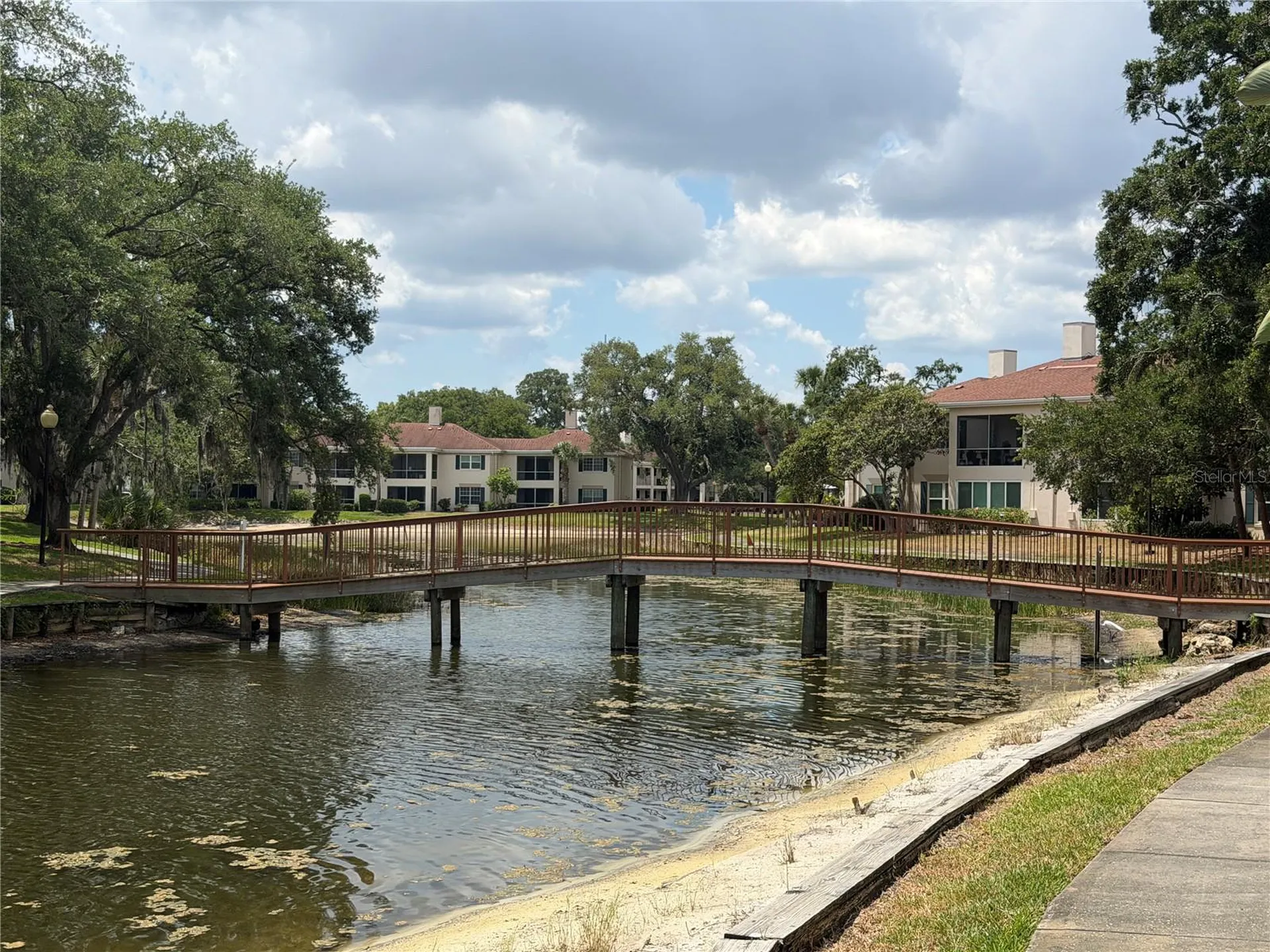 10335 Carrollwood Lane Tampa FL 33618