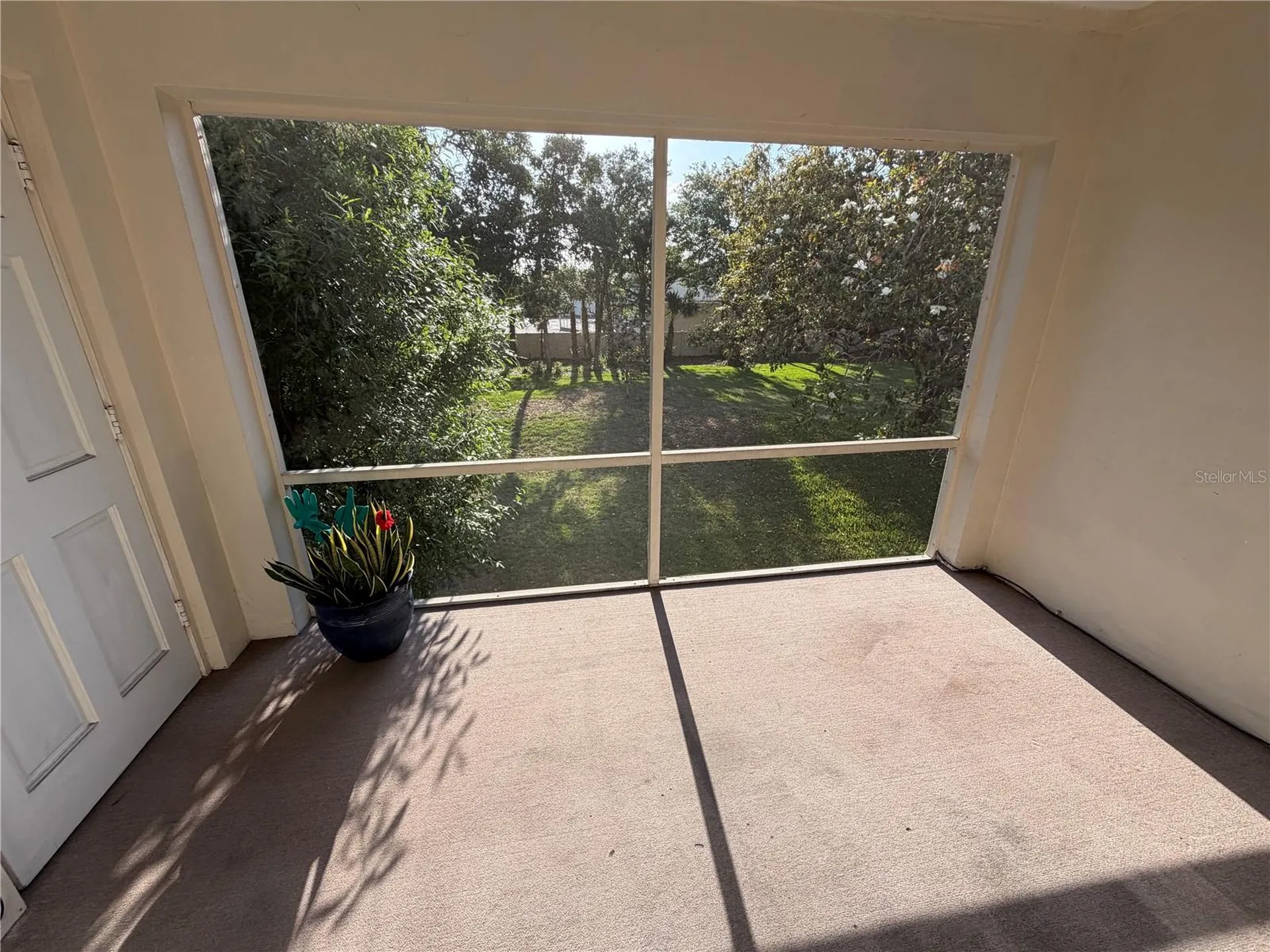 10335 Carrollwood Lane Tampa FL 33618