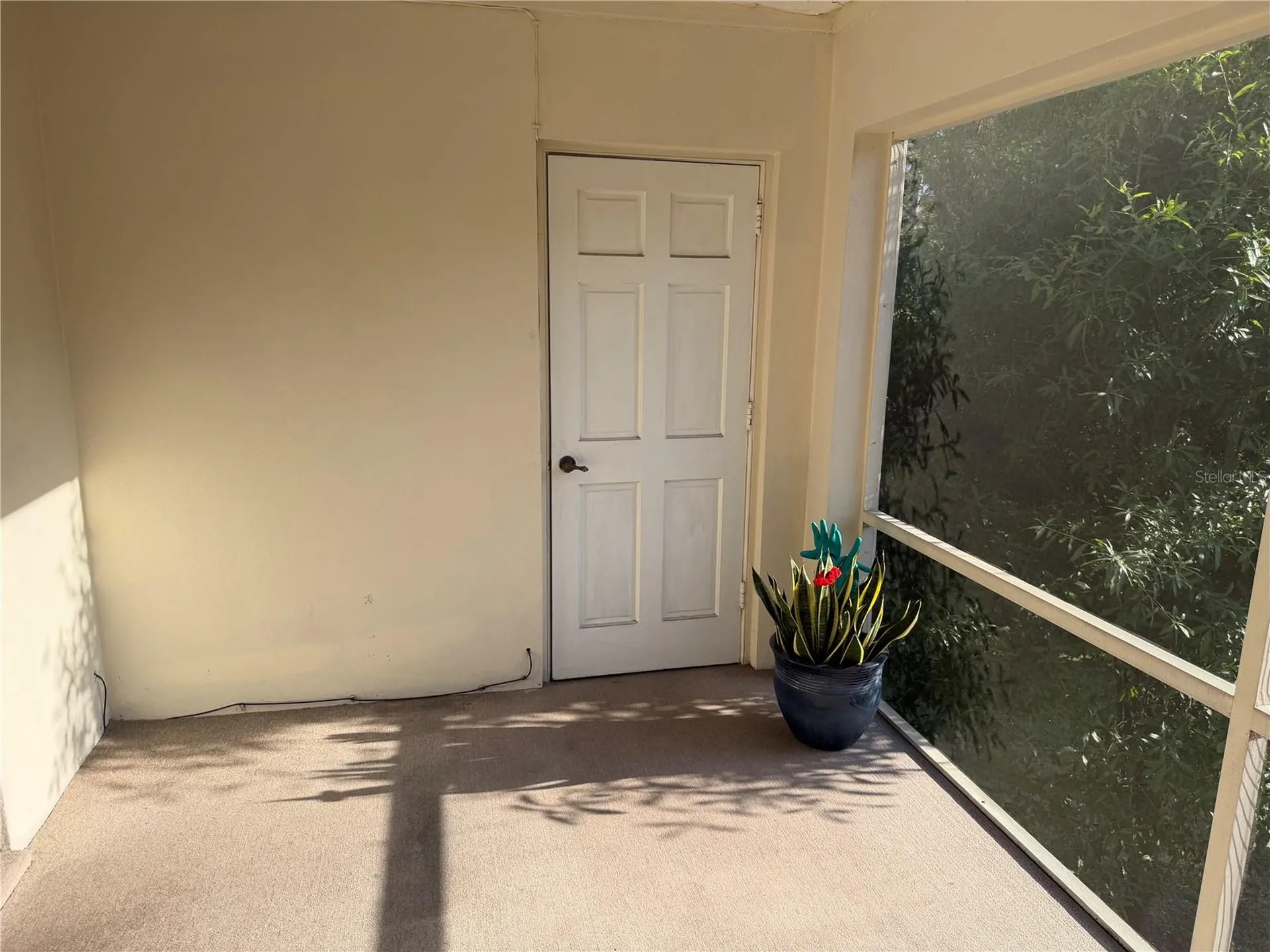 10335 Carrollwood Lane Tampa FL 33618