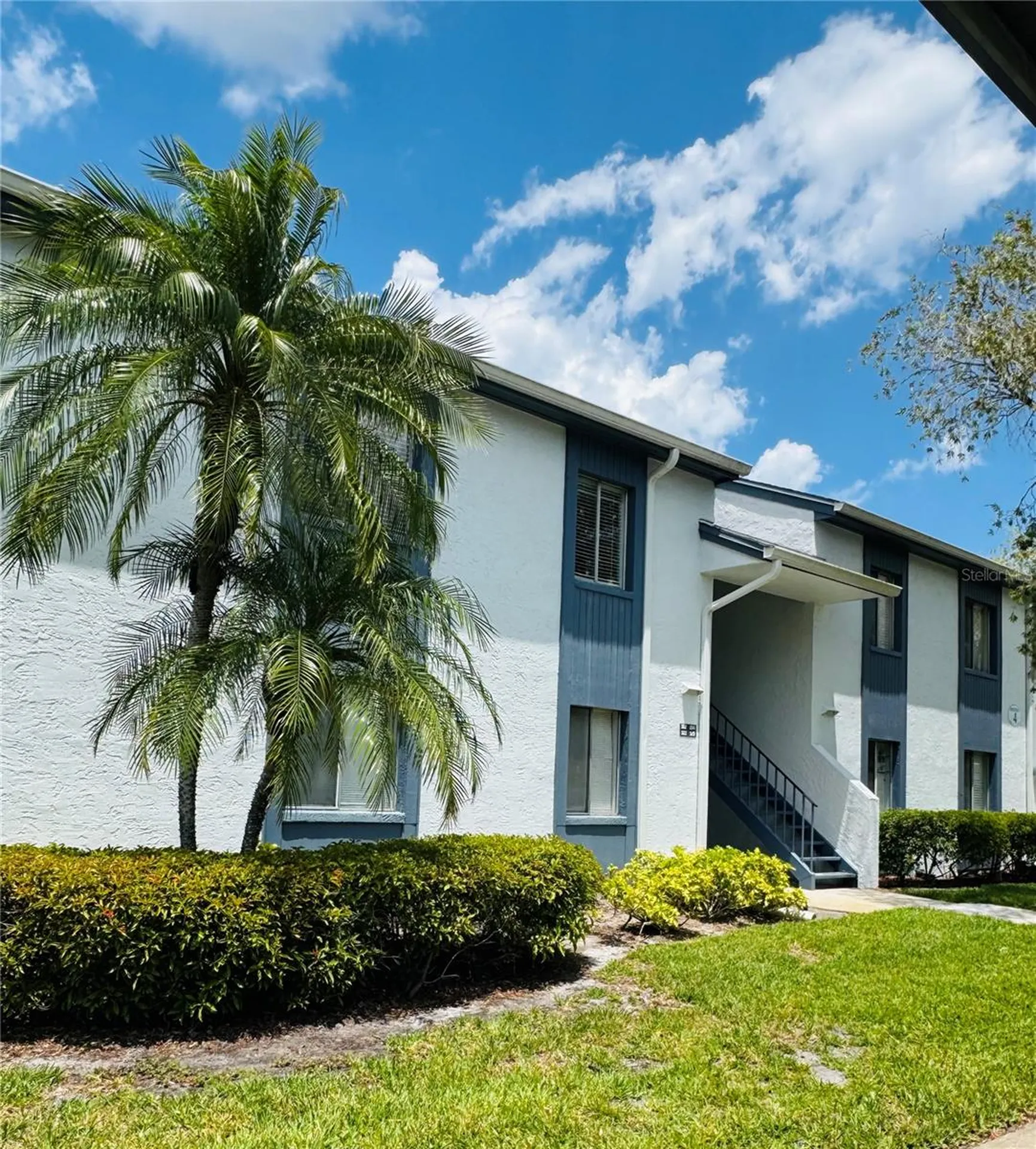 152 Cypress Lane Oldsmar FL 34677